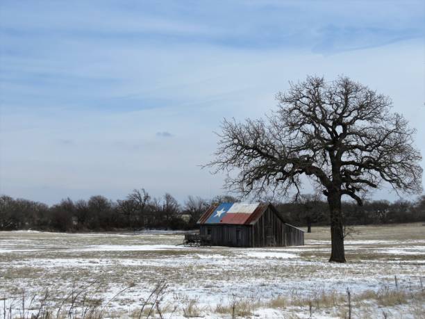 istock Barn and Tree in Rural Texas with Snow 1302904929