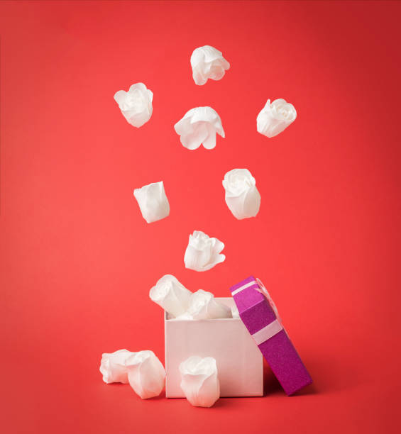 istock White rose buds flying out of a gift box on a red background. 1302905876