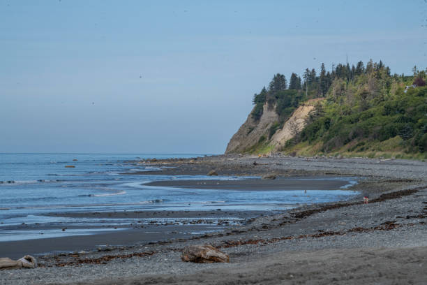 istock A lovely beach of volcanic rocks and cliffs on Alaska's inside passage 1302906808