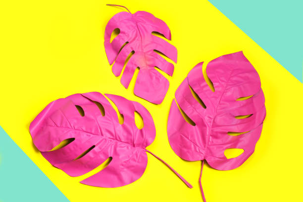 istock Three painted tropical palm leaf of monstera on yellow background. 1302911205