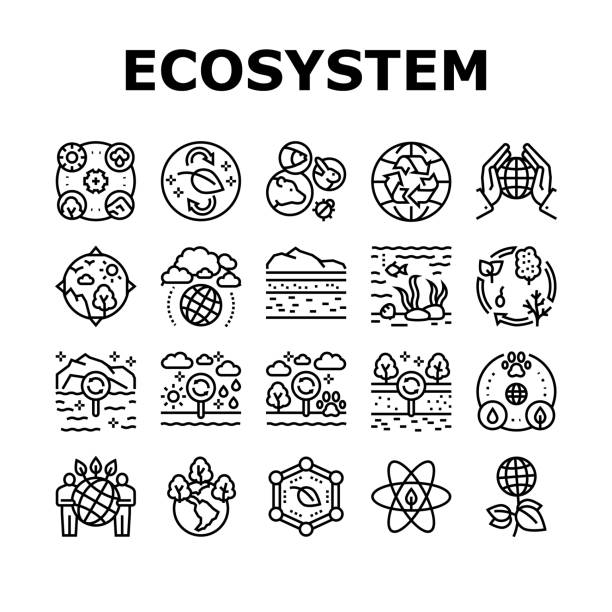 Ecosystem Environment Collection Icons Set Vector Ecosystem Environment Collection Icons Set Vector. Ecosystem And Ecology, Biodiversity And Life Cycle, Biosphere And Atmosphere Black Contour Illustrations biodiversity stock illustrations