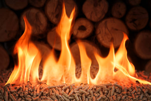 Pile of coniferous pellets in flames - wooden biomass Pile of coniferous pellets in flames - wooden biomass granule photos stock pictures, royalty-free photos & images
