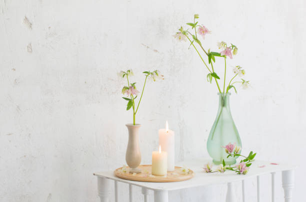 istock columbine flowers in vase on background white wall 1302917923