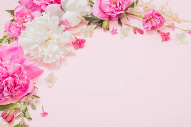 istock beautiful flowers on pink paper background 1302917928