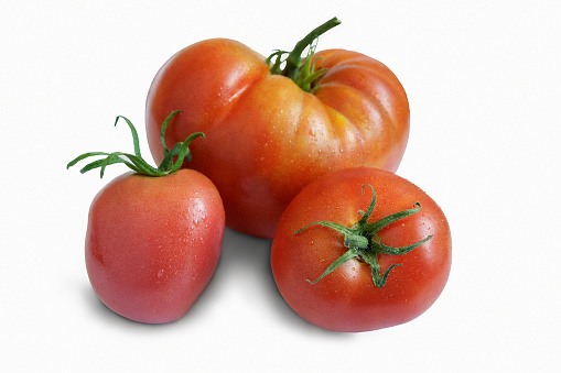 Three tasty ripe tomatoes with stalk. Presented on a white background.