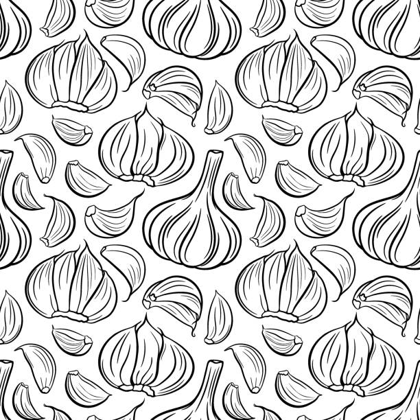 illustrations, cliparts, dessins animés et icônes de modèle sans couture vectorielle avec bulbe d’ail et gousses d’ail. - garlic clove isolated white