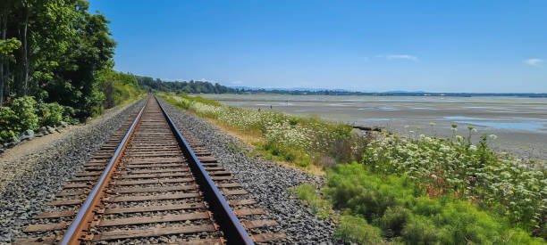 istock Railway Train Tracks Near the Beach 1302930314