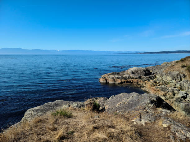 istock Pacific Ocean Beach Seaside Sunny Day Seaweed View 1302930335