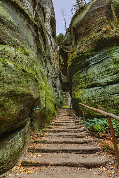 istock Rocks in Adrspach-Teplice Nature park in Czech 1302931479