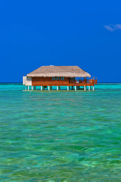 Water bungalow on Maldives island Water bungalow on Maldives island - nature travel background water bungalow maldives stock pictures, royalty-free photos & images