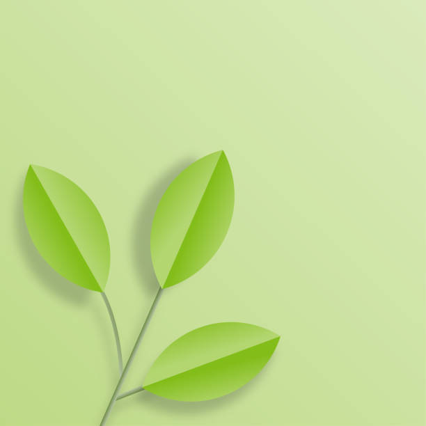 istock Green leaves frame on green background. Trendy origami paper cut style vector illustration 1302935880