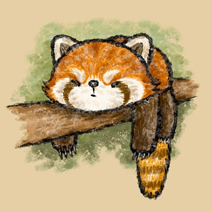 Ilustración de Panda Rojo En Un Árbol y más Vectores Libres de Derechos de Panda  rojo - Panda rojo, Fauna silvestre, Ilustración - iStock