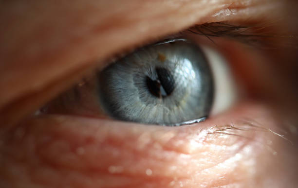 istock Male gray blue colored right eye in low light technique 1302937853