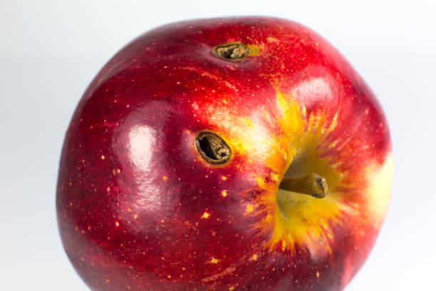 istock Red wormy spoiled apple on white background. Close up. 1302939328