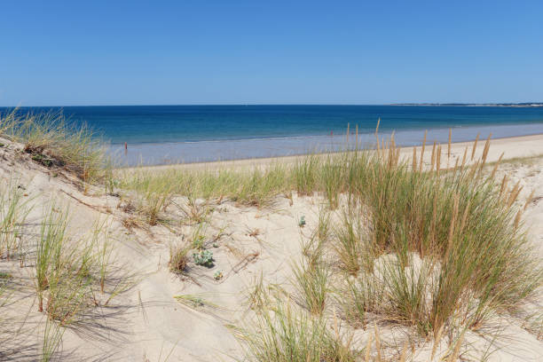 istock Sand dunes of Pen-Bron  beach 1302942172