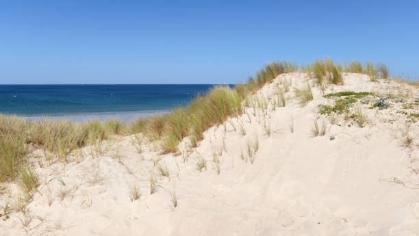 istock Sand dunes of Pen-Bron  beach 1302942334