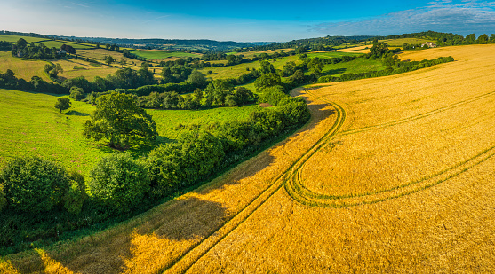 Aerial panoramic view over healthy green summer pasture and golden crops ripening in a picturesque rural landscape of patchwork pasture and country farms.