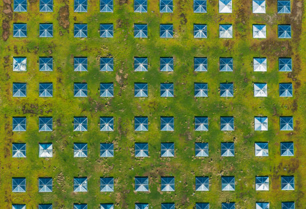 Aerial view over square skylights grid on green eco roof Aerial photograph over skylights in a green grass environmentally roof. window grid patterns stock pictures, royalty-free photos & images