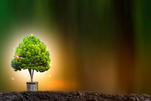istock Renewable energy concept Earth Day or environment protection Hands protect forests that grow on the ground and help save the world. 1302944112