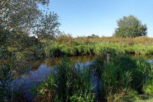 Brière Regional Natural Park in Loire Atlantique