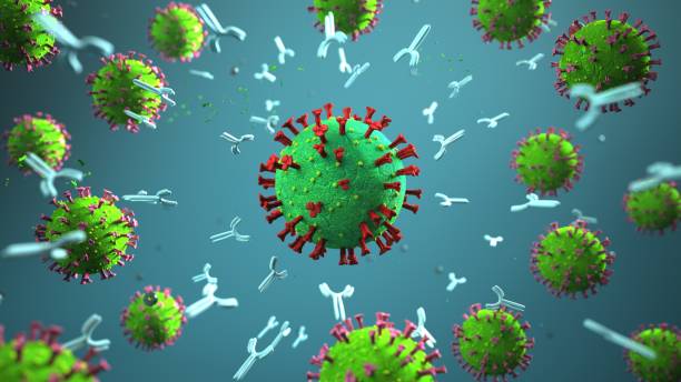 Antibodies against the coronavirus stock photo