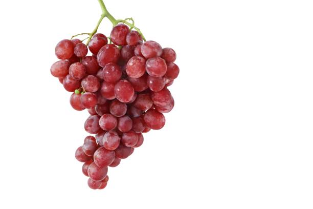 istock Red grapes isolated on white background with clipping path. 1302948604