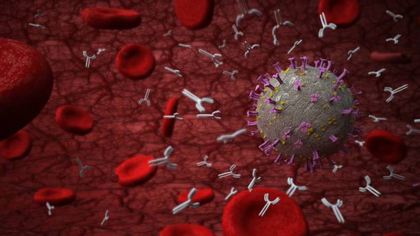 istock Antibodies against the coronavirus 1302949353