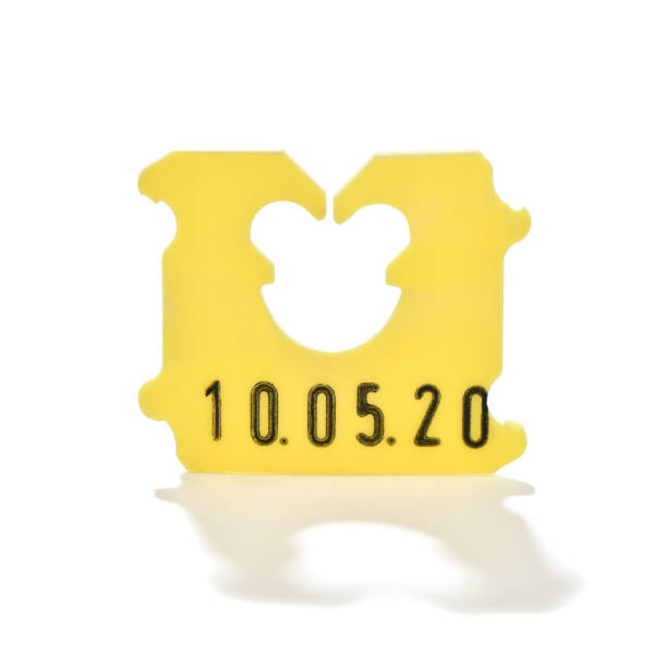 2,600+ Bread Clips Stock Photos, Pictures & Royalty-Free Images - iStock