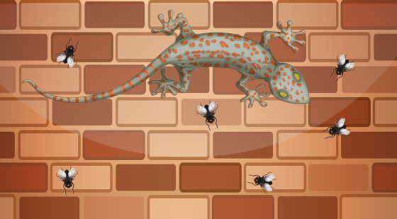 Gecko on brick wall with many fly in cartoon style illustration