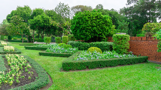 Pattern of English formal garden style, gardens with geometric shape of bush and shrub, decoration with colorful flowering plant blooming, green leaf of Philippine tea plant is border, greenery trees on background under cloudy sky, in a good care landscapes of a public park