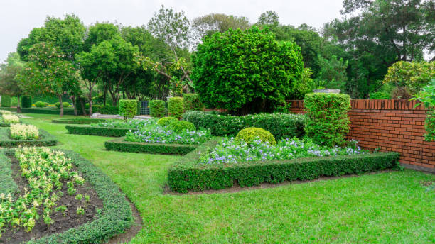 Pattern of English formal garden style, gardens with geometric shape of bush and shrub, decoration with colorful flowering plant blooming, green leaf of Philippine tea plant is border, greenery trees on background under cloudy sky, in a good care landscap stock photo