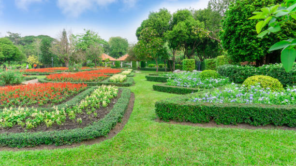 英国の正式な庭のスタイルのパターンは、ブッシュと低木の幾何学的形状の庭園、カラフルな開花植物が咲く装飾、フィリピンの茶植物の緑の葉は、曇り空の下で背景に緑の木、良いケアの� - persea ストックフォトと画像