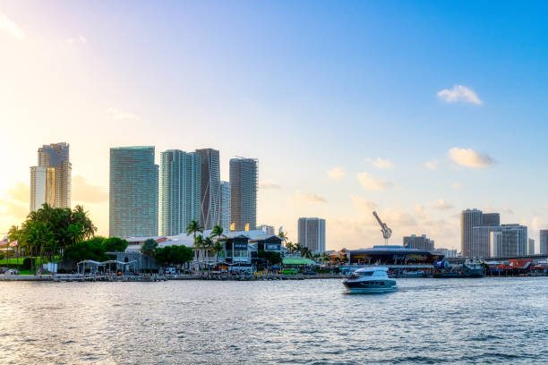 istock Miami city skyline during the afternoon 1302957283