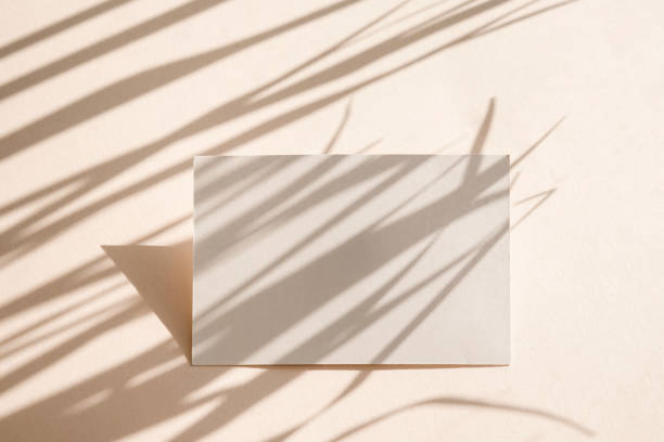 istock Card on beige background with shadows shape palm leaves. Minimal concept mock up background. 1302957888