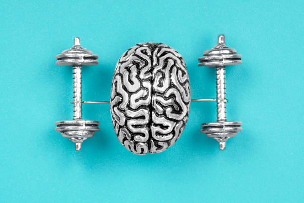 Human brain lifting dumbbells Creative composition made of a steel copy of a human brain lifting dumbbells. The concept of brain exercises to strengthen the mind. mental strength stock pictures, royalty-free photos & images