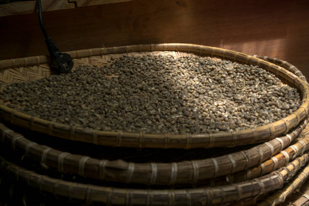 Gayo Arabica Coffee