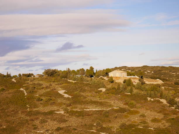 The rural houses on a hill surrounded by trees during sunset