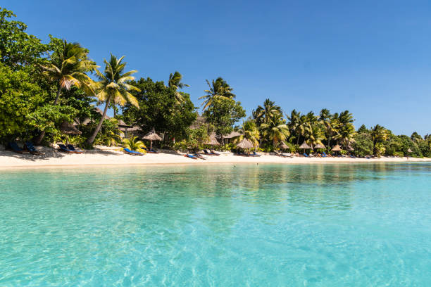 água turquesa idílica por uma praia exótica na ilha de yasawa em fiji, no oceano pacífico sul - travel destinations vacations exoticism beauty in nature - fotografias e filmes do acervo