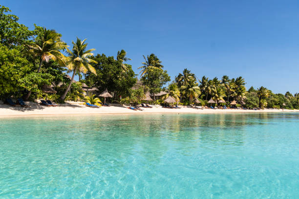 idyllic turquoise water by an exotic beach in the yasawa island in fiji in the south pacific ocean - lagoon tranquil scene sea water imagens e fotografias de stock