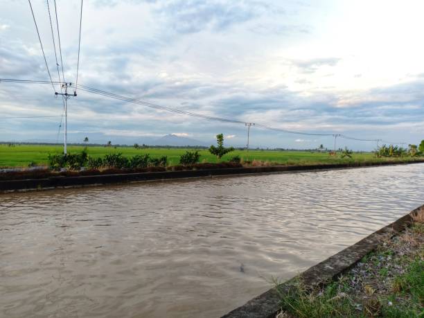 istock rivers that flow water to the rice fields 1302979555