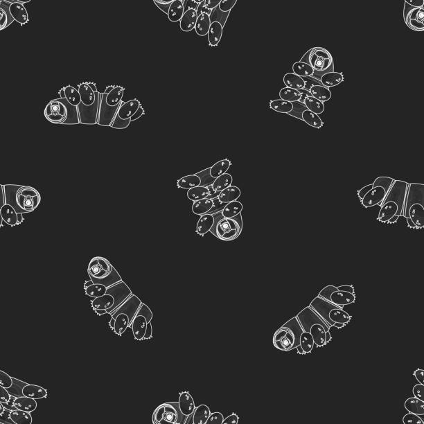 Vector Gray white cute Tardigrade, water bears or moss piglets repeat seamless pattern. Chalk on blackboard effect. Vector Gray white cute Tardigrade, water bears or moss piglets repeat seamless pattern. Chalk on blackboard effect water bear stock illustrations