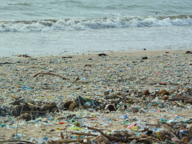 istock Different types of garbage on a beach Jimbaran, Bali 1302982476