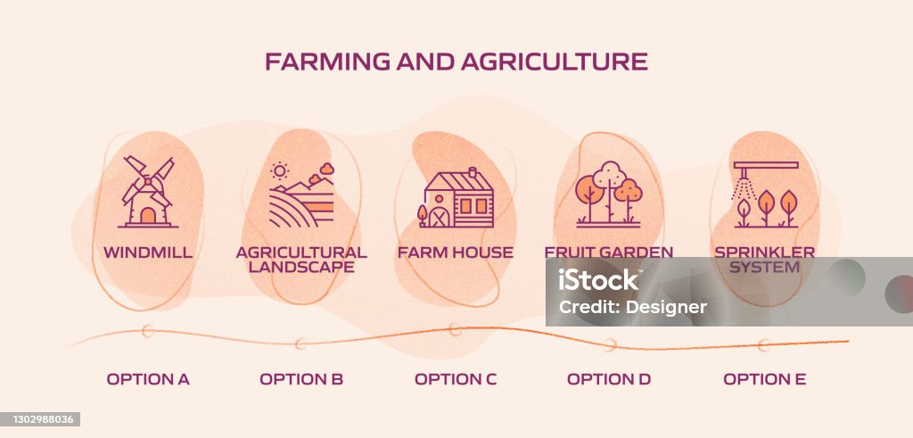 Farming And Agriculture Related Process Infographic Template Process ...