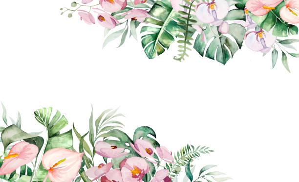 istock Watercolor tropical flowers and leaves border illustration 1302993935