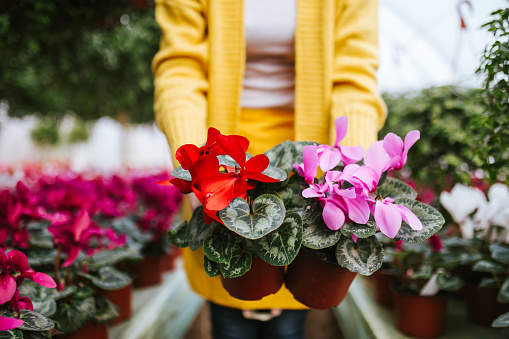 A woman is holding flower pots