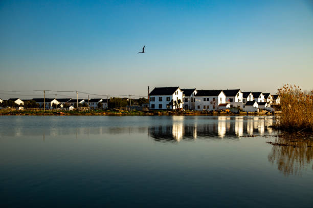 istock Lakeside houses 1302997524