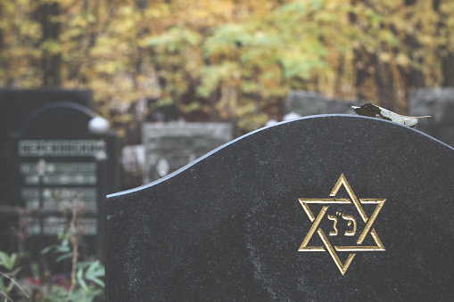 Warsaw, Poland - December 29, 2008: View of old tombstones with Hebrew scripts in the old Jewish Cemetery of Warsaw, Poland