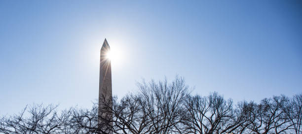 the washington monument with bare winter trees. - bare tree winter plants travel locations imagens e fotografias de stock