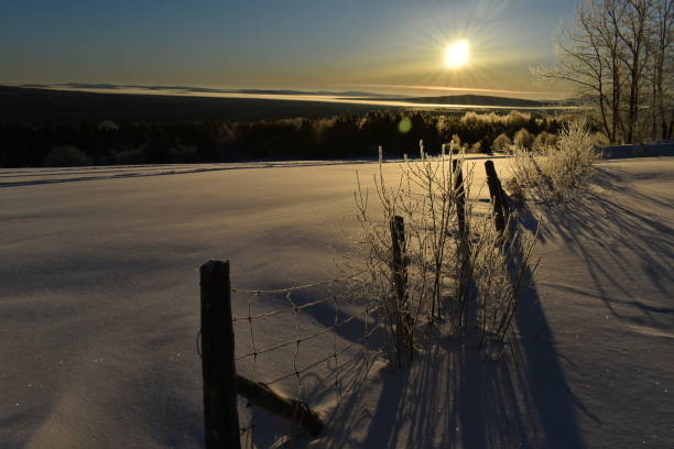 istock One morning in February 1303000702