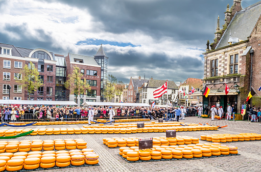 Alkmaar, The Netherlands - April 22, 2016: Traditional Dutch cheese market which takes place every Friday in the main square of the city of Alkmaar, the Netherlands, it is a popular tourist attraction